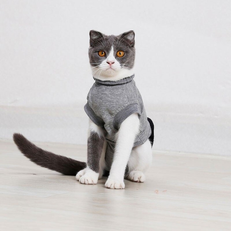 Medical cotton recovery suit pet cat clothes shirt anti-bite clothes ...